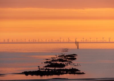 Offshore windfarm at sunset - photo by Pete Godfrey on unsplash.