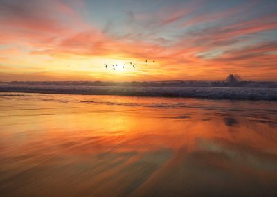 Birds at sunrise - Photo by Frank McKenna on Unsplash